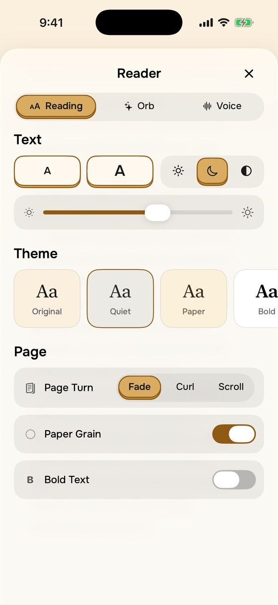 Litra reader settings: text size, theme, page turn and paper grain
