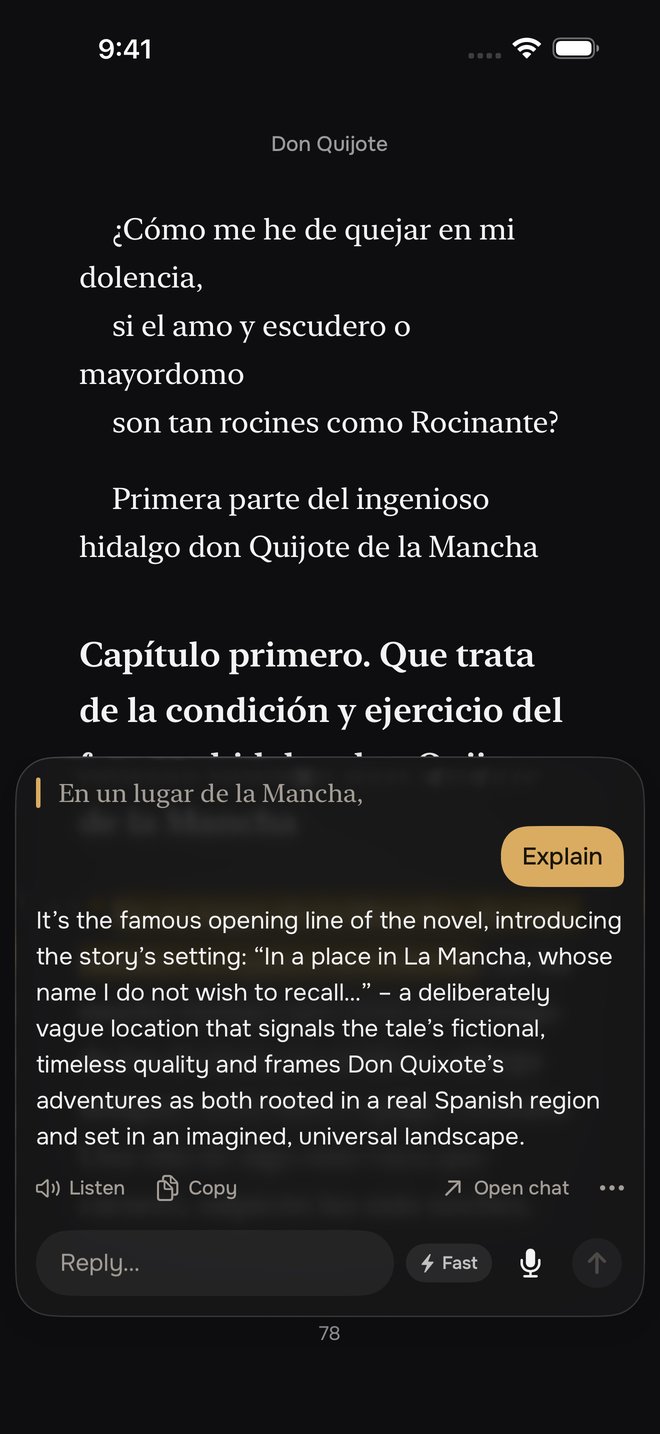 Explain on a selected line of Don Quixote, answered from the book's own text